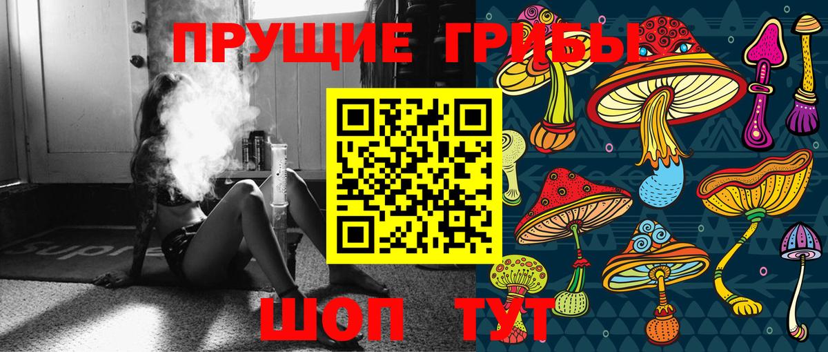 Галлюциногенные грибы прущие грибы Норильск